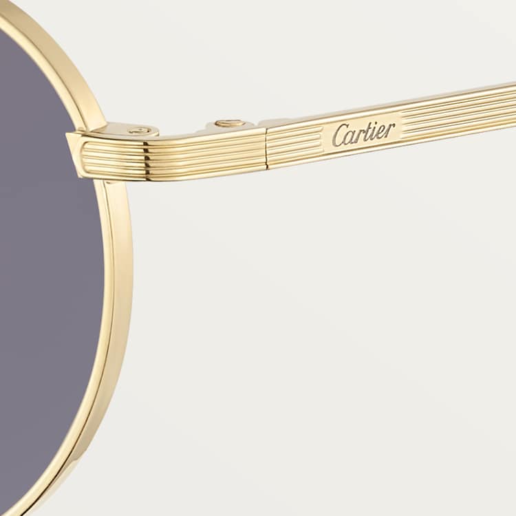 Occhiali da sole Signature C de CT Lenti grigio chiaro da uomo