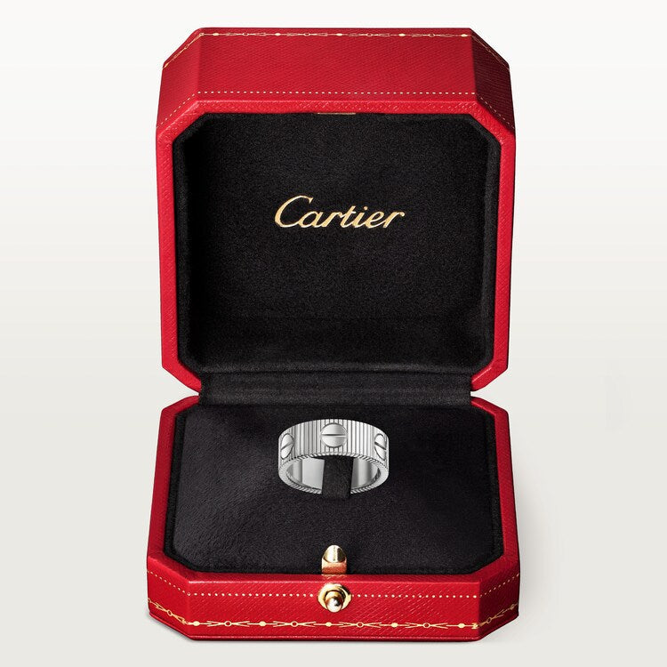 Anello LOVE Unlimited in color argento
