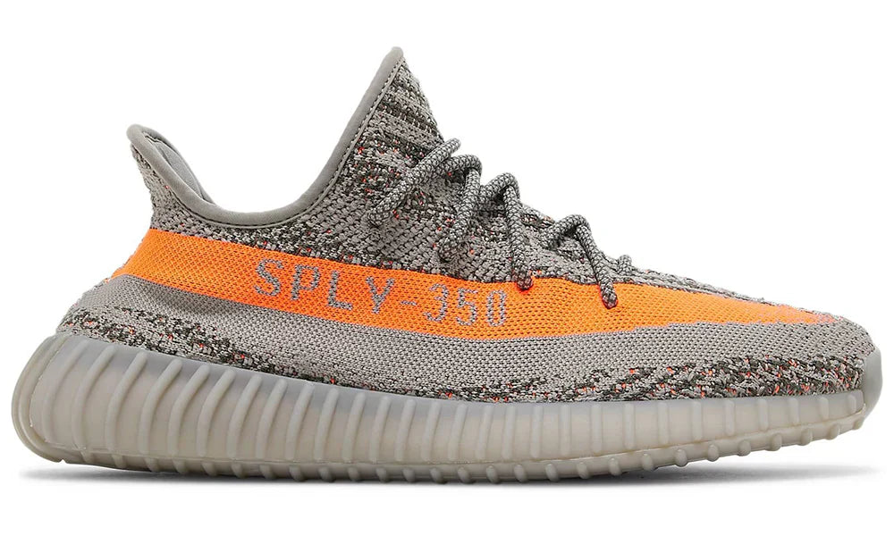 Beluga reflective