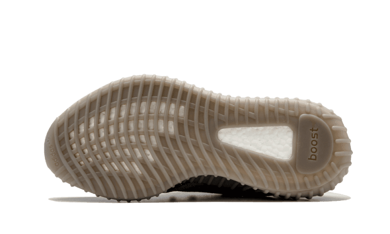 Beluga